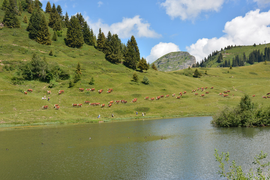 Le lac de Joux-Plane