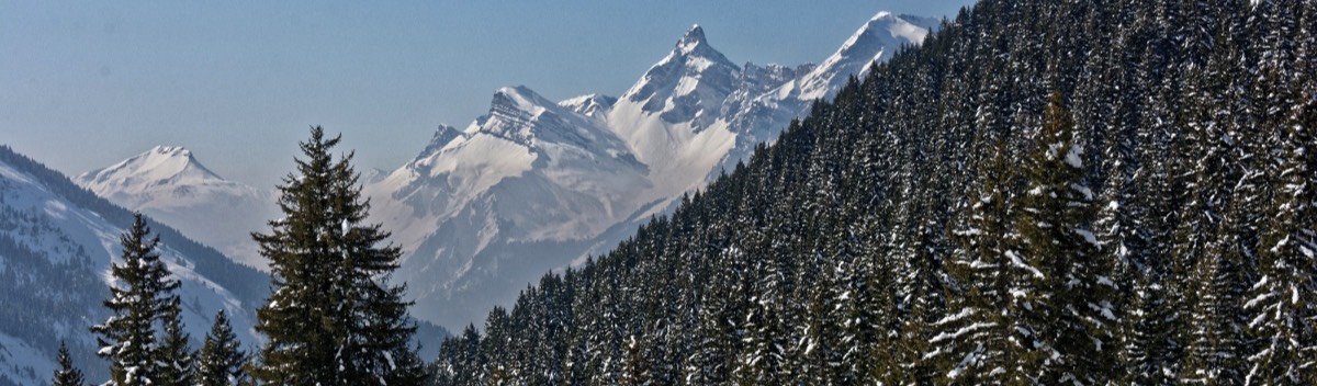 Grand Massif : aux Carroz d