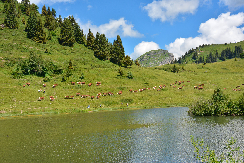 Samoëns-Le lac du Col de Joux-Plane